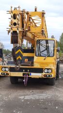 TADANO TL250 grúa móvil